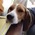 Jen Albone Maines's profile image