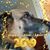 Mark Jasek's profile image
