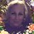 Shelley Taylor's profile image