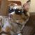 Sharry Ulbrich's profile image