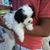 Rocco Sanchez Lopez's profile image