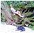 Maegan Williford's profile image