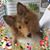 Gloria Bondelevitch Dec's profile image