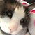 Laura Hughes's profile image