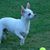 Cathie Avery Ashby's profile image