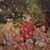 Linda Peck's profile image