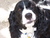Stephanie V.'s profile image