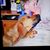 David Hartman's profile image