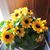 Susan Dulac Harrow's profile image