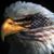 Kevin Clark's profile image