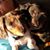 Jack N Michelle Palen's profile image