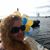 Brenda Smith's profile image