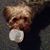 Deb Clark's profile image
