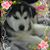 Elvia Guerrero's profile image