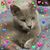 Kelli McGorman's profile image