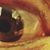 Rich Abagon's profile image
