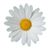 Andra Koether's profile image