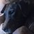 Mark Leers's profile image