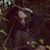 Melati Indah Citrawireja's profile image