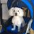 Jorge H. Rivera's profile image