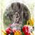 Mary Provenzano Aumond's profile image