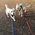 Judy Opdahl's profile image