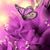 Diana Roberts-Deramo's profile image