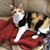 Diana Pollard's profile image