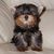 Shirley Urbanek's profile image