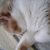 Kim Wickerham's profile image