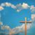 Jessica Vidauri Hernandez's profile image