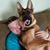 Alex Macfarland's profile image