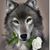 Armando Benitez's profile image