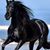 Shegut Mohammed's profile image