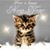 Mary Turick's profile image