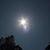 Cindy Sosebee Lawrence's profile image