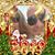 Laura E Zamudio's profile image