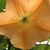 Susan Kealey's profile image