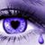 Ellenor Vandenende's profile image