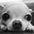 Bonnie Brockwell's profile image