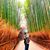 John Bruno Scherrer's profile image