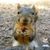 Troy Sutter's profile image