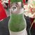 Shaki Shaki Es Dura's profile image