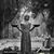 Lisa Duncan Holsopple's profile image