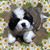 Christa Swagger's profile image