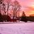 Kim Greeson Williard's profile image