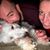 Jillian Depue's profile image