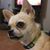 Robin Browning's profile image
