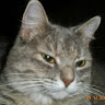 Debbie G.'s profile image