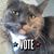 Dawna Obermeier's profile image